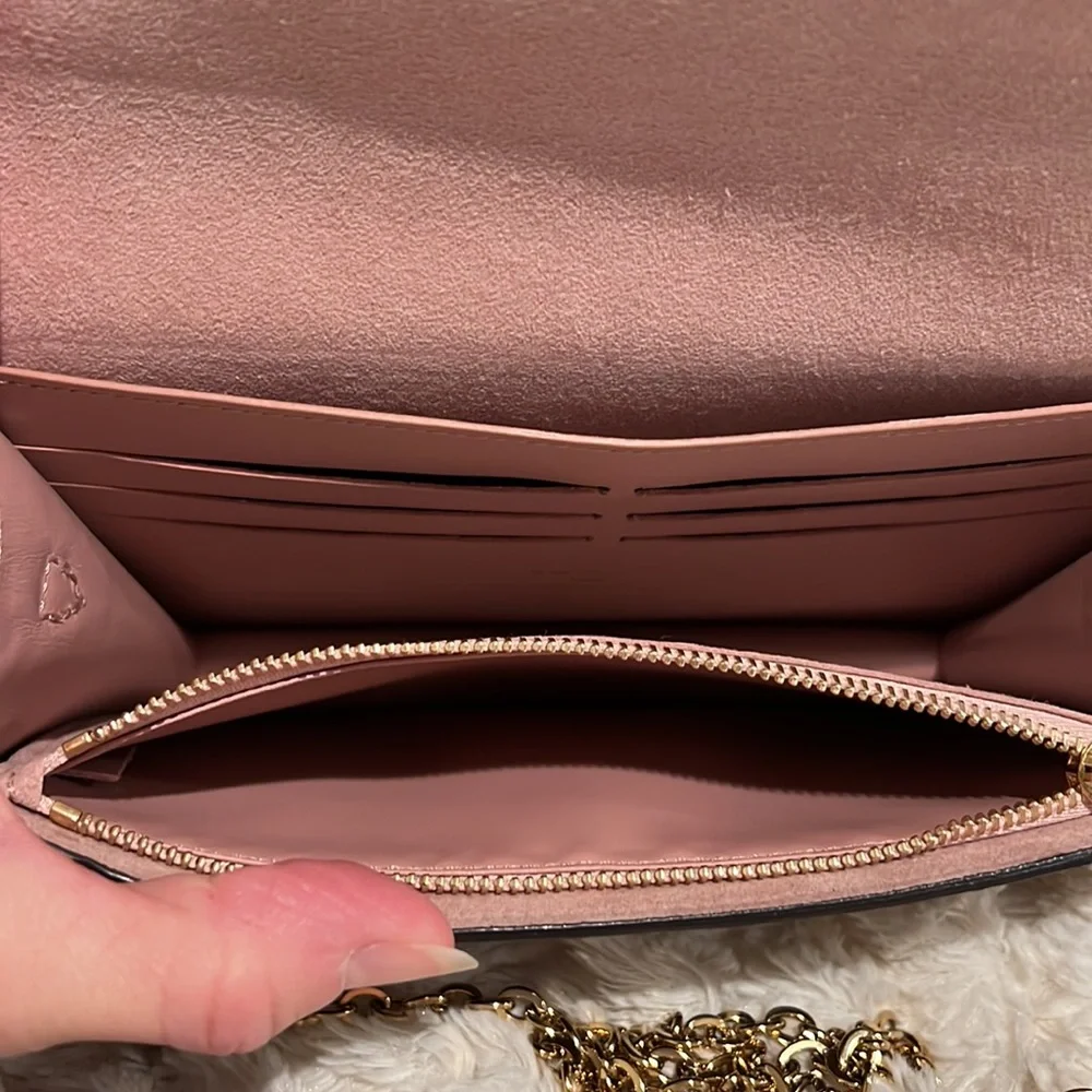 Louis Vuitton Croisette Chain Wallet Crossbody Bag Rose Ballerine Pink i…